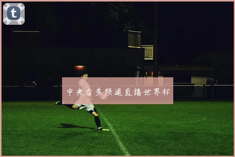 中央台多频道直播世界杯