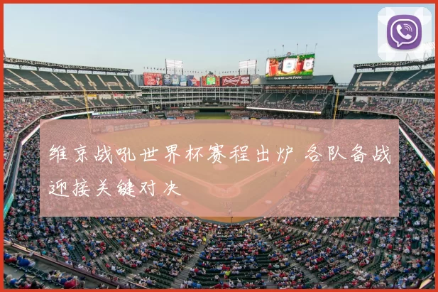 维京战吼世界杯赛程出炉 各队备战迎接关键对决