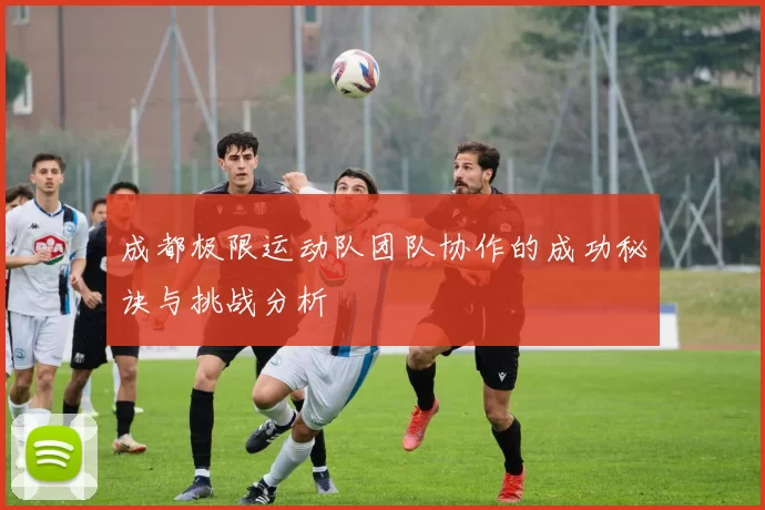 成都极限运动队团队协作的成功秘诀与挑战分析