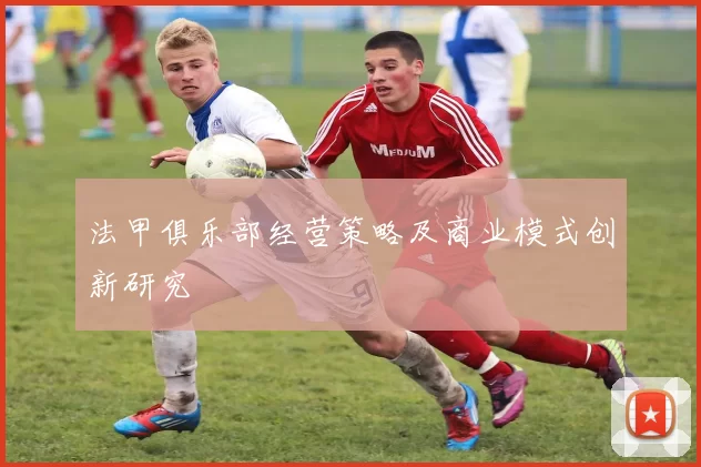 法甲俱乐部经营策略及商业模式创新研究