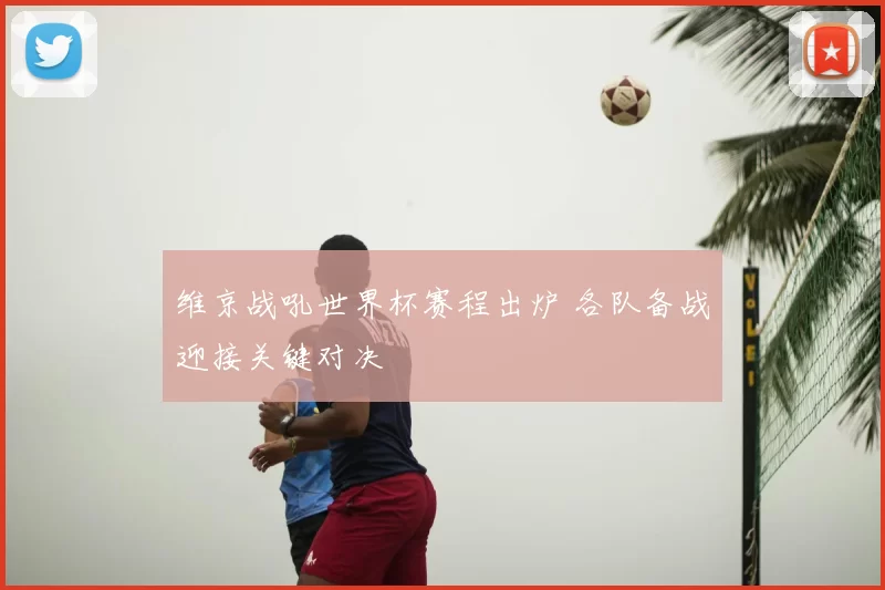 维京战吼世界杯赛程出炉 各队备战迎接关键对决