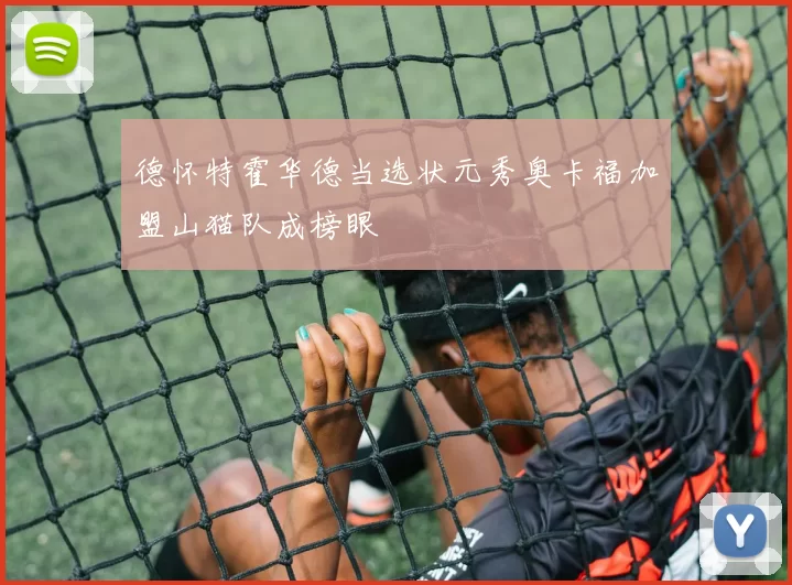 德怀特霍华德当选状元秀奥卡福加盟山猫队成榜眼