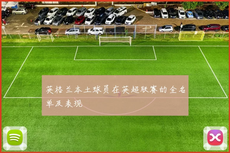 英格兰本土球员在英超联赛的全名单及表现