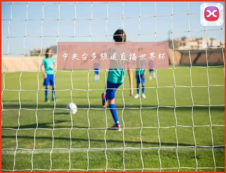 中央台多频道直播世界杯