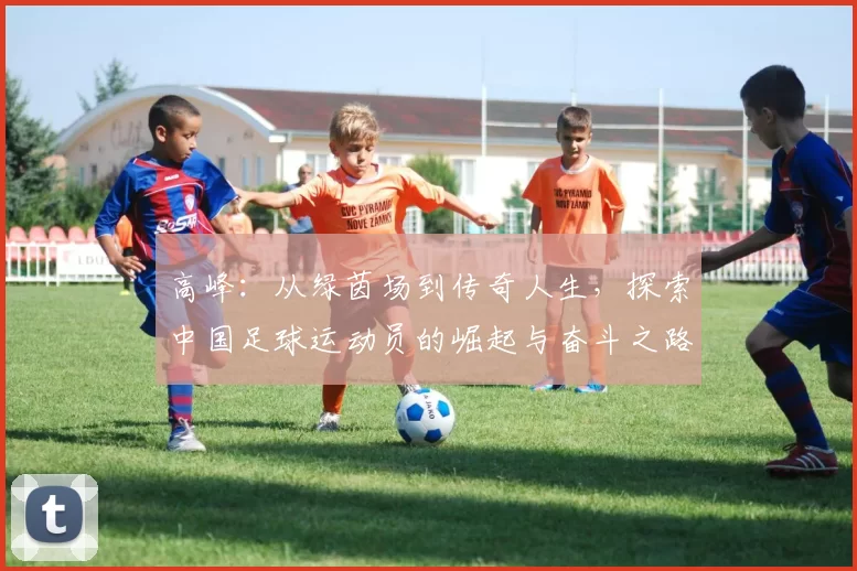 高峰：从绿茵场到传奇人生，探索中国足球运动员的崛起与奋斗之路