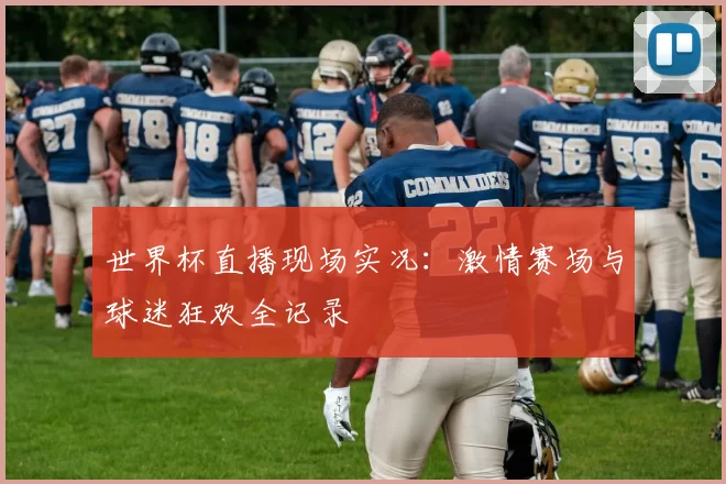世界杯直播现场实况:激情赛场与球迷狂欢全记录