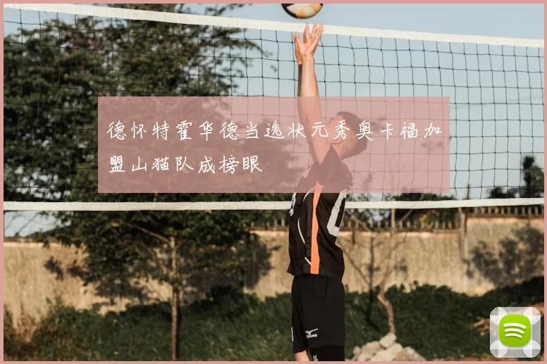 德怀特霍华德当选状元秀奥卡福加盟山猫队成榜眼