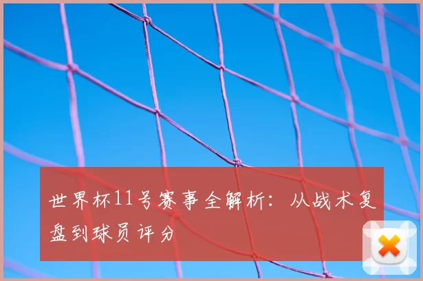 世界杯11号赛事全解析：从战术复盘到球员评分