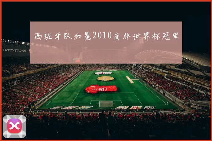 西班牙队加冕2010南非世界杯冠军