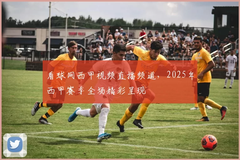 看球网西甲视频直播频道，2025年西甲赛季全场精彩呈现