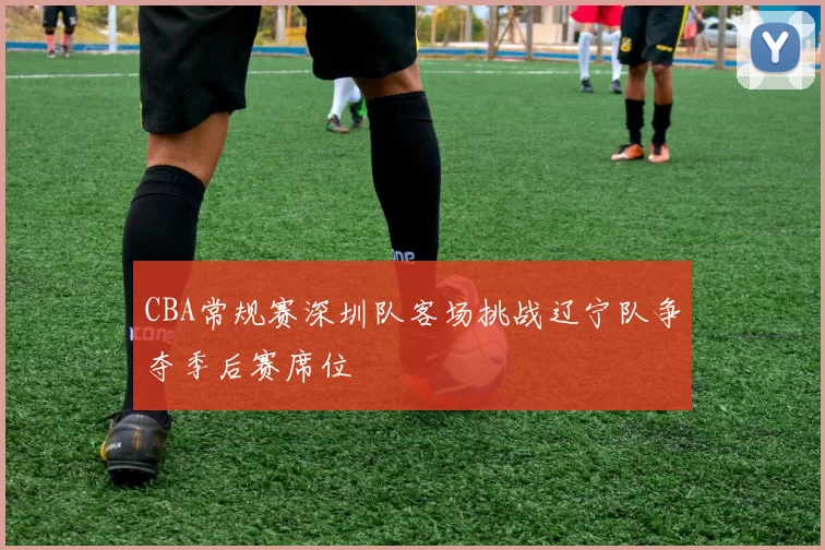 CBA常规赛深圳队客场挑战辽宁队争夺季后赛席位