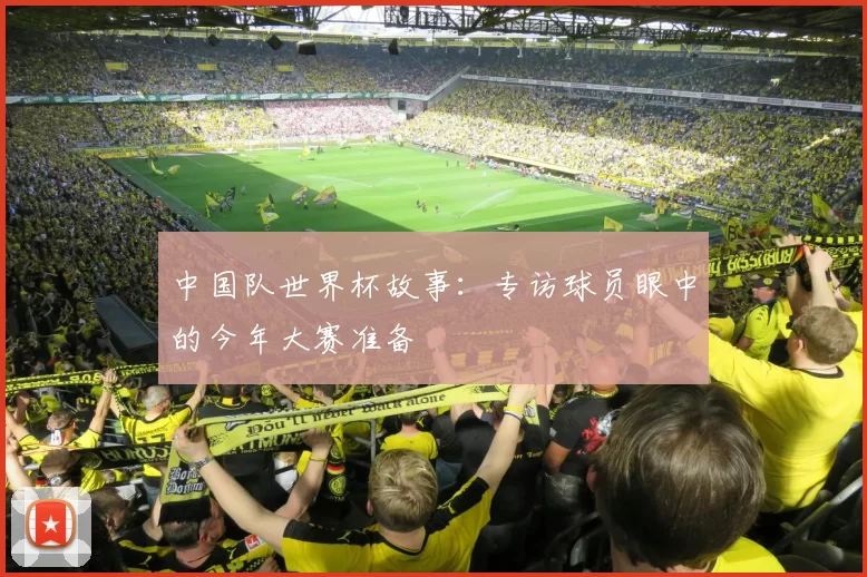 中国队世界杯故事：专访球员眼中的今年大赛准备