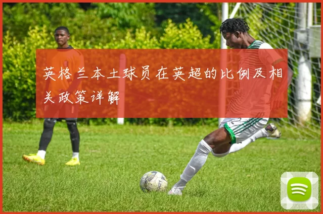 英格兰本土球员在英超的比例及相关政策详解