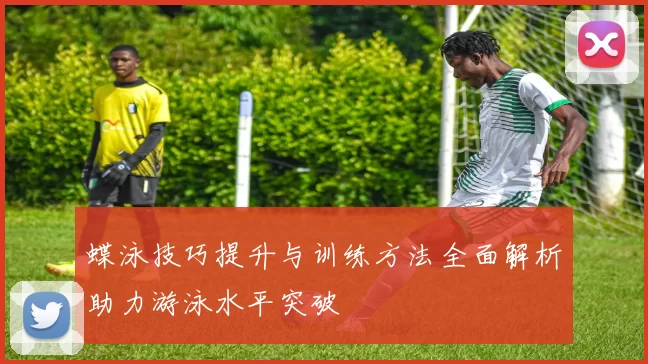 蝶泳技巧提升与训练方法全面解析助力游泳水平突破