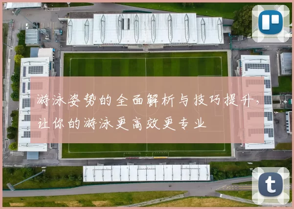 游泳姿势的全面解析与技巧提升，让你的游泳更高效更专业