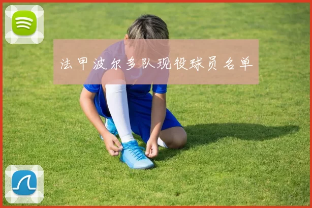 法甲波尔多队现役球员名单
