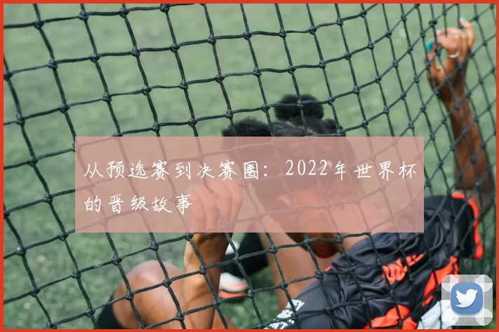 从预选赛到决赛圈:2022年世界杯的晋级故事