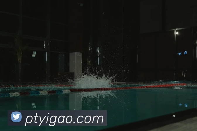 华体会体育APP 封面图